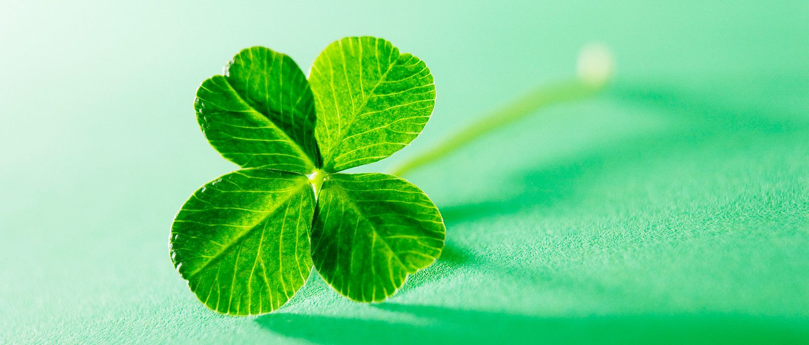 WeThePeople doet mee aan Happy Balance