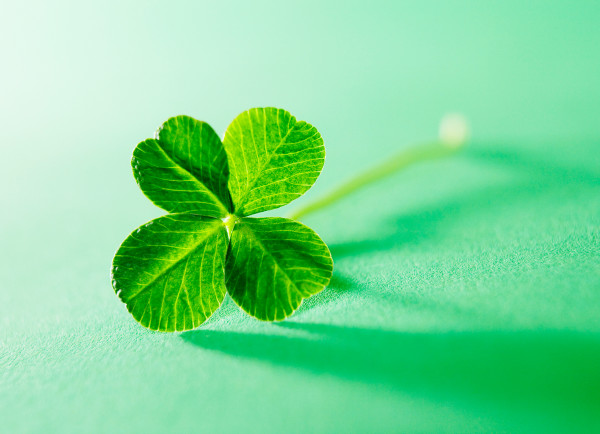 WeThePeople doet mee aan Happy Balance